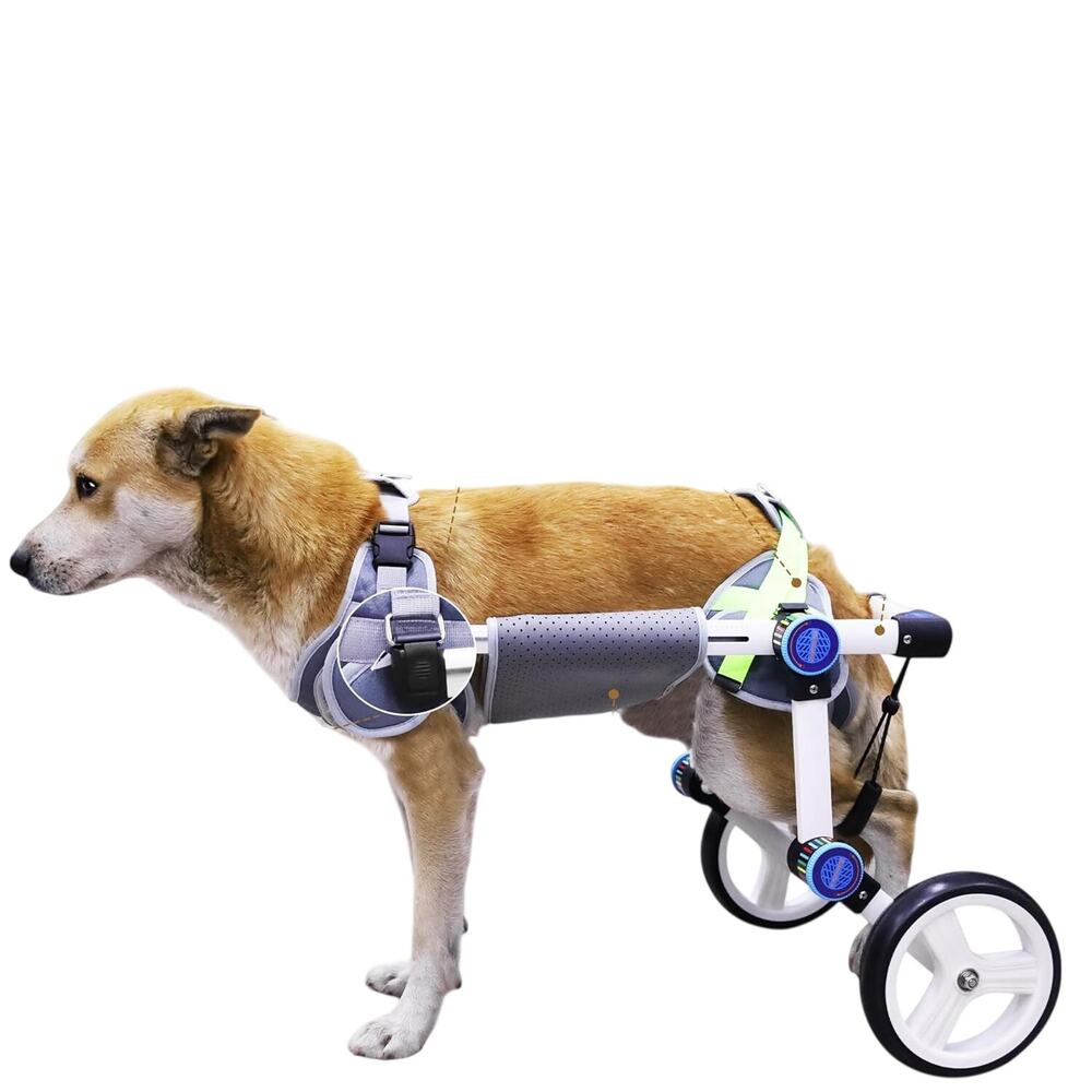 Adjustable Gray and Light Green Rear Support Wheelchair for Dogs
